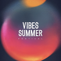 Vibe Summer Festival